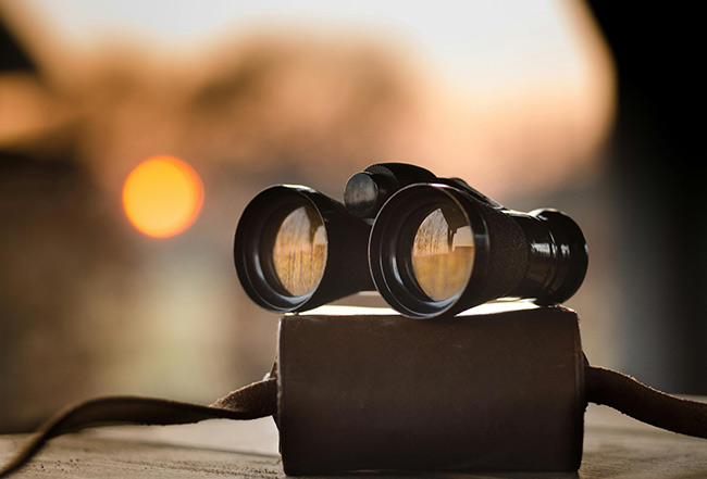 SEO Fundamentals in the AI Search Era